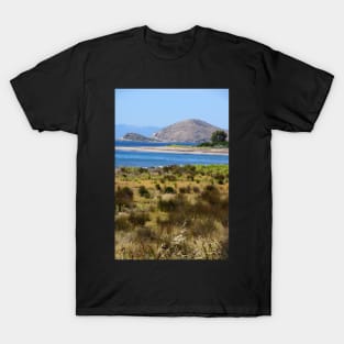The Bluff - Victor Harbor - South Australia by Avril Thomas T-Shirt